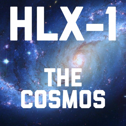 The Cosmos