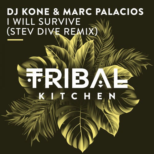 I Will Survive (Stev Dive Remix)