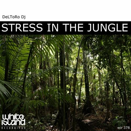 Stress In The Jungle