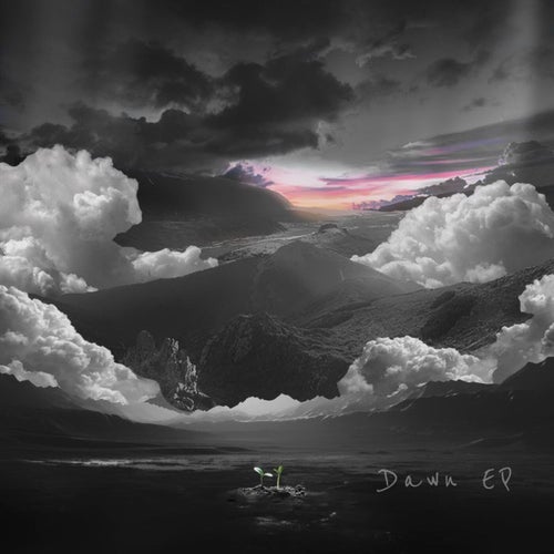 Dawn