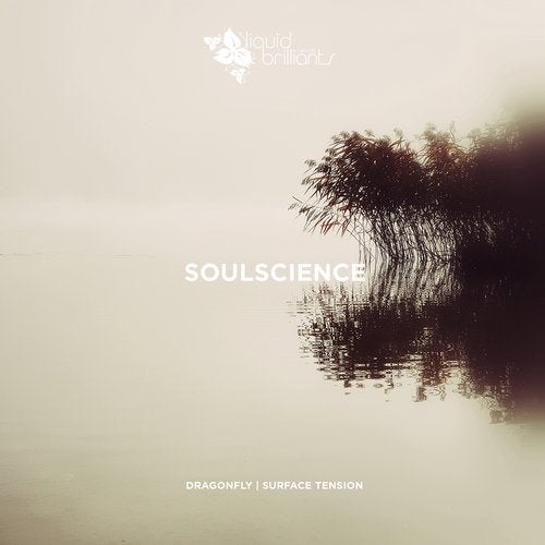 Soulscience - Dragonfly 2019 [EP]