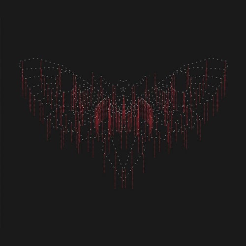 Moth