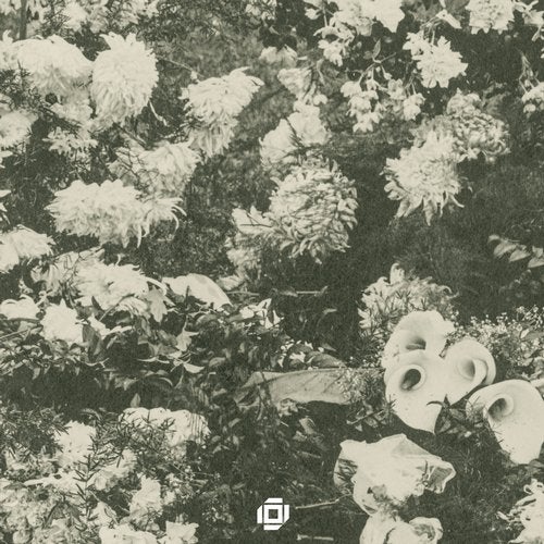 Cover art for Ghost EP