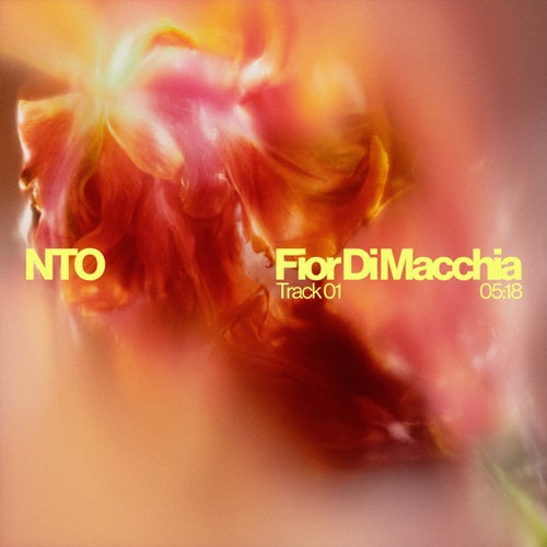 Fior Di Macchia