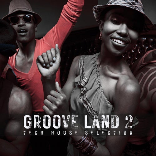 Cover art for Groove Land 2 (Tech House Selection)