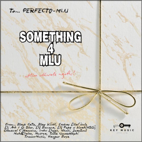 SOMETHING 4 MLU