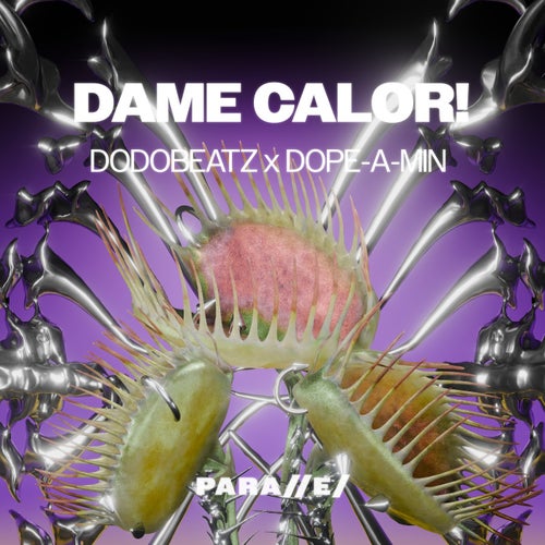 Dame Calor!