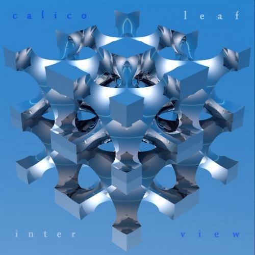 Inter View