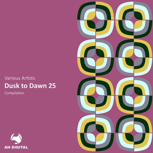 Dusk to Dawn 25 - Summer Edition (2025) - AH Digital