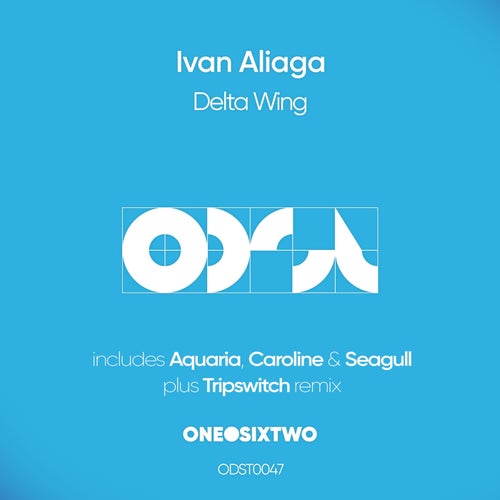 Delta Wing
