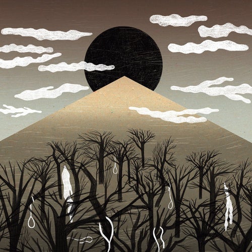 Aokigahara