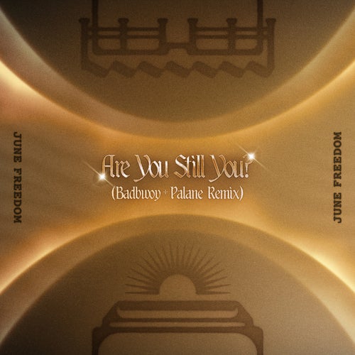 Are You Still You? (Badbwoy & Palane Remix)