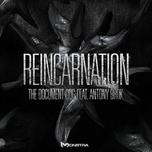 Reincarnation