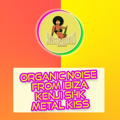 Organic Noise from Ibiza & Kenji Shk - Metal Kiss.mp3