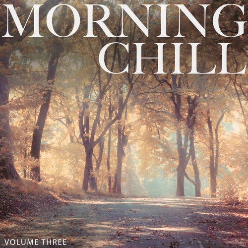Morning Chill, Vol. 3 (Fantastic Selection Of Smooth Electronic Background Music)