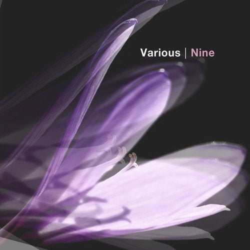 Cover art for Nine