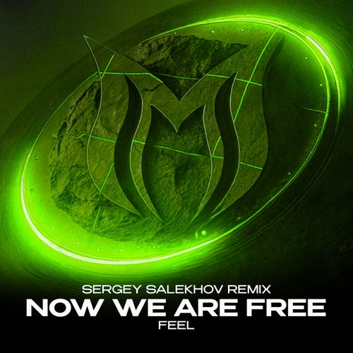 Now We Are Free (Sergey Salekhov Remix)