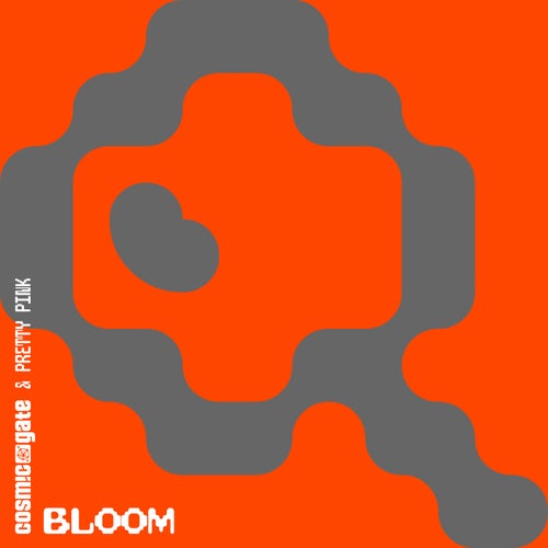 Bloom