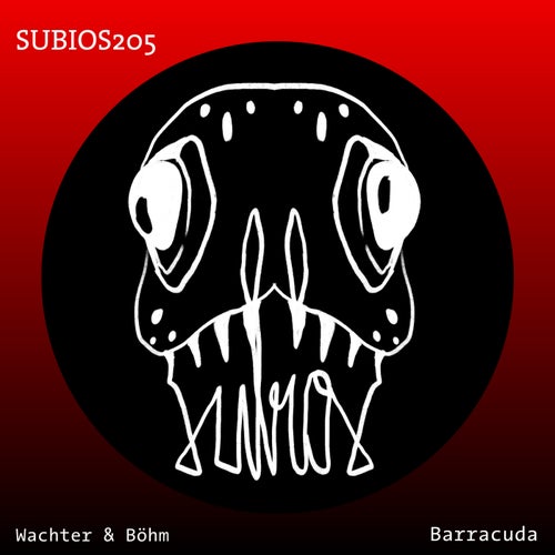 Barracuda