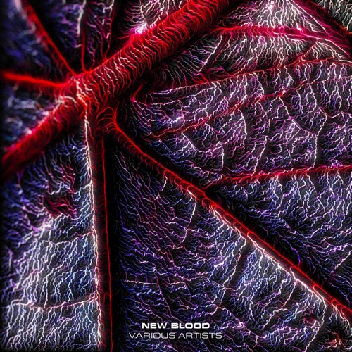 Cover art for New Blood VA