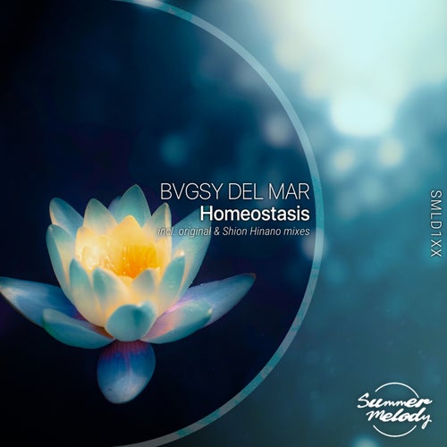 Homeostasis