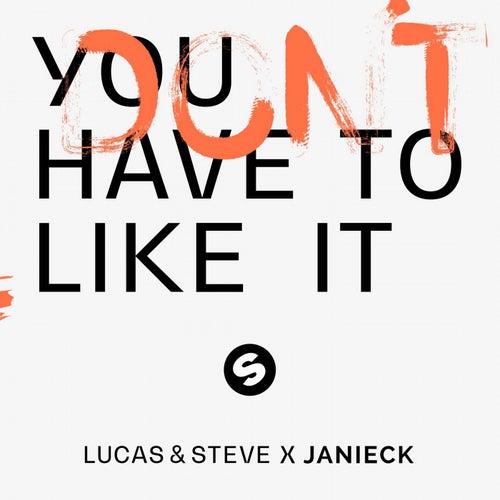 You Don't Have To Like It (Extended Mix)