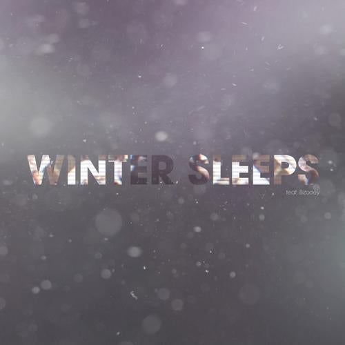 Winter Sleeps