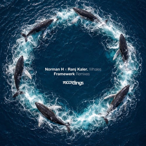 Whales: Framewerk Remixes