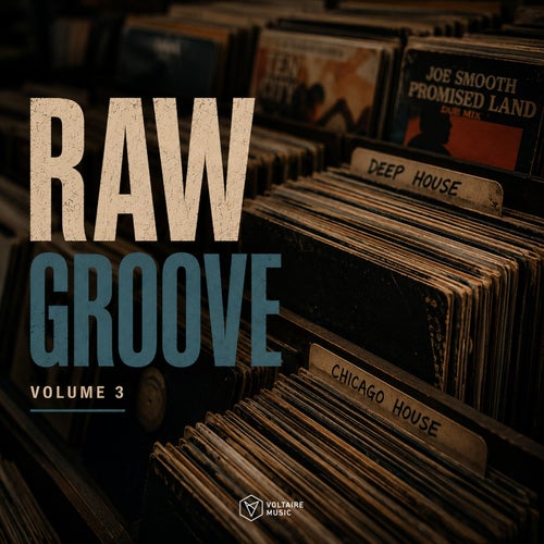 Raw Groove Vol. 3