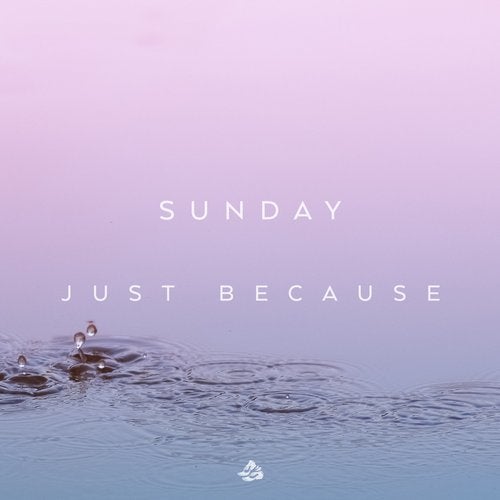 Cover art for Just Because