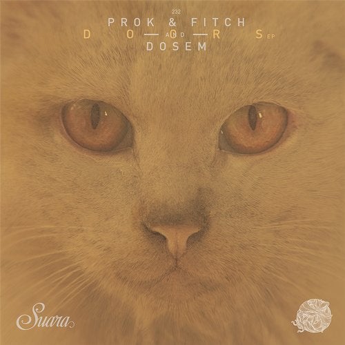 Dosem & Prok & Fitch - Doors