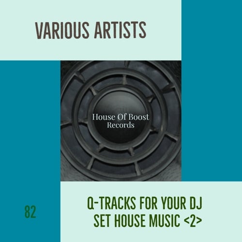 Q-TRACKS FOR YOUR DJ SET HOUSE MUSIC 2
