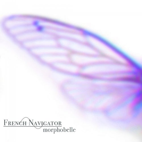 Morphobelle