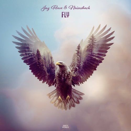 Fly