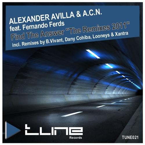 Find The Answer The Remixes 2011