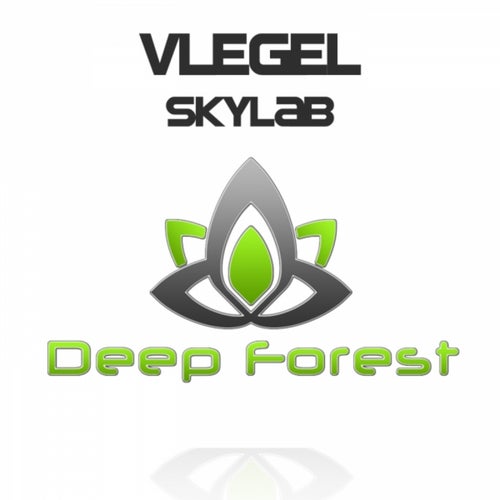 Cover art for Skylab