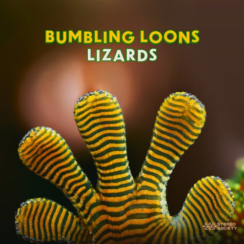 Lizards