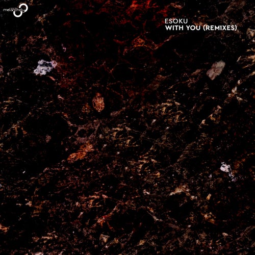 With You (Remixes)