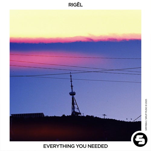 Everything You Needed