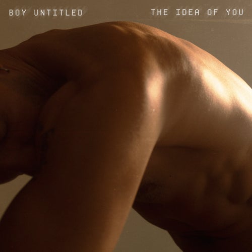 The Idea of You