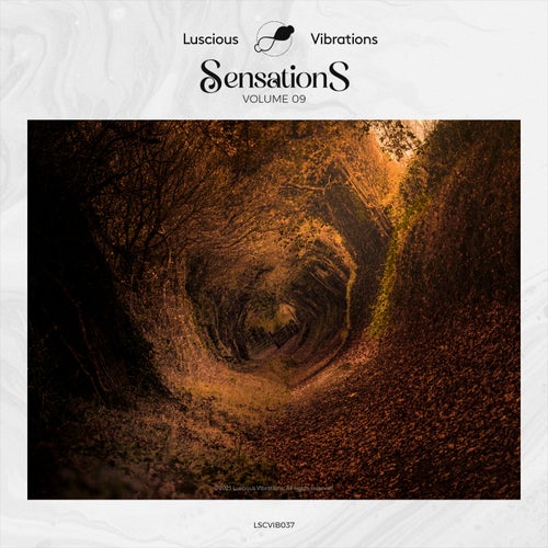 Sensations, Vol. 09