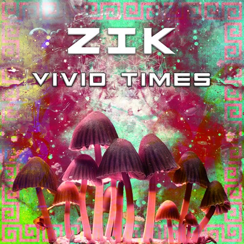 VA - Zik - Vivid Times (2023) (MP3)