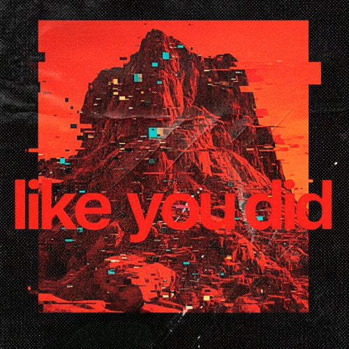 Like You Did