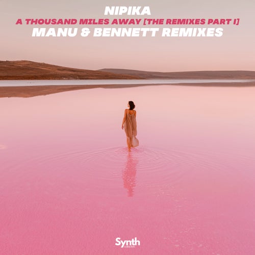 A Thousand Miles [The Remixes, Pt. 1]