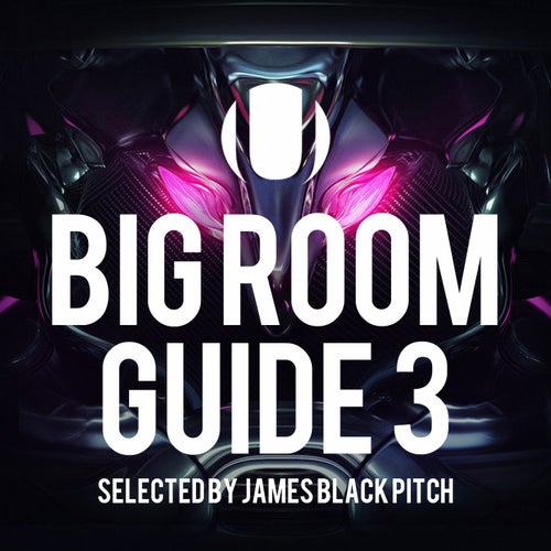 Big Room Guide, Vol.  3