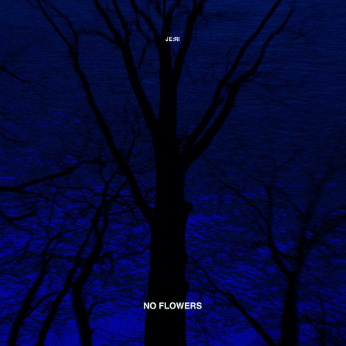No Flowers
