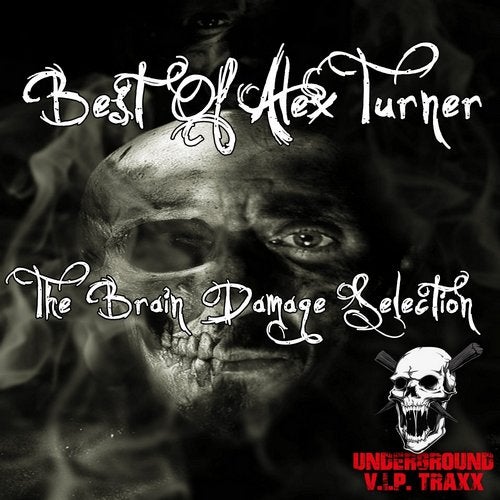 Cover art for Best Of Alex Turner: The Brain Damage Selection