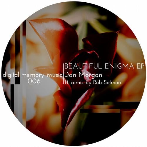 Beautiful Enigma