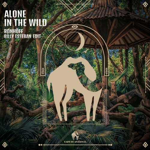 Cover art for Alone in the Wild