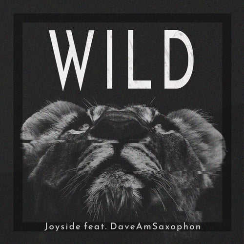 Wild